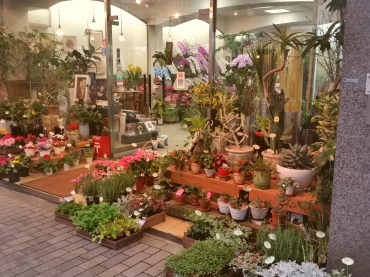 「シンコーフラワーセンター」　（兵庫県神戸市中央区）の花屋店舗写真1